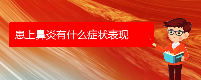 (貴陽市治鼻炎)患上鼻炎有什么癥狀表現(xiàn)(圖1) (貴陽市治鼻炎)患上鼻炎有什么癥狀表現(xiàn)(圖1)
