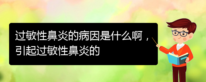 (貴州什么醫(yī)院治療過敏性鼻炎)過敏性鼻炎的病因是什么啊，引起過敏性鼻炎的(圖1)