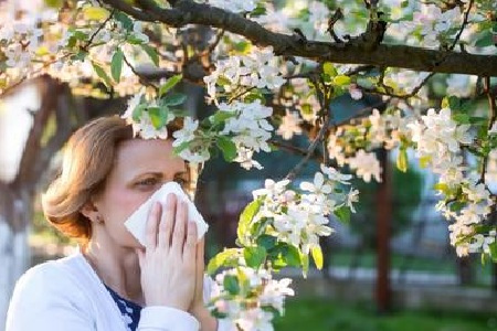 (貴陽治過敏性鼻炎的醫(yī)院排行)貴陽哪家耳鼻喉科比較好(圖2) (貴陽治過敏性鼻炎的醫(yī)院排行)貴陽哪家耳鼻喉科比較好(圖2)