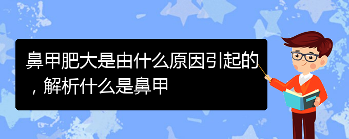 (貴陽鼻甲肥大如何治療)鼻甲肥大是由什么原因引起的，解析什么是鼻甲(圖1)