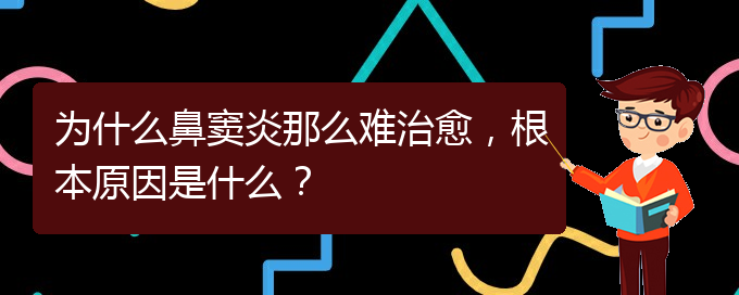 (貴陽治療鼻竇炎要多少費用)為什么鼻竇炎那么難治愈，根本原因是什么？(圖1)