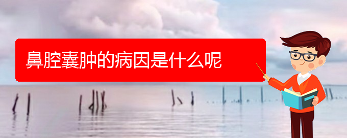 (貴陽哪個(gè)醫(yī)院看鼻腔腫瘤)鼻腔囊腫的病因是什么呢(圖1) (貴陽哪個(gè)醫(yī)院看鼻腔腫瘤)鼻腔囊腫的病因是什么呢(圖1)