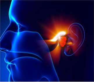 (貴陽(yáng)銘仁耳鼻喉醫(yī)院掛號(hào))老年性耳聾問(wèn)題需重視(圖1) (貴陽(yáng)銘仁耳鼻喉醫(yī)院掛號(hào))老年性耳聾問(wèn)題需重視(圖1)