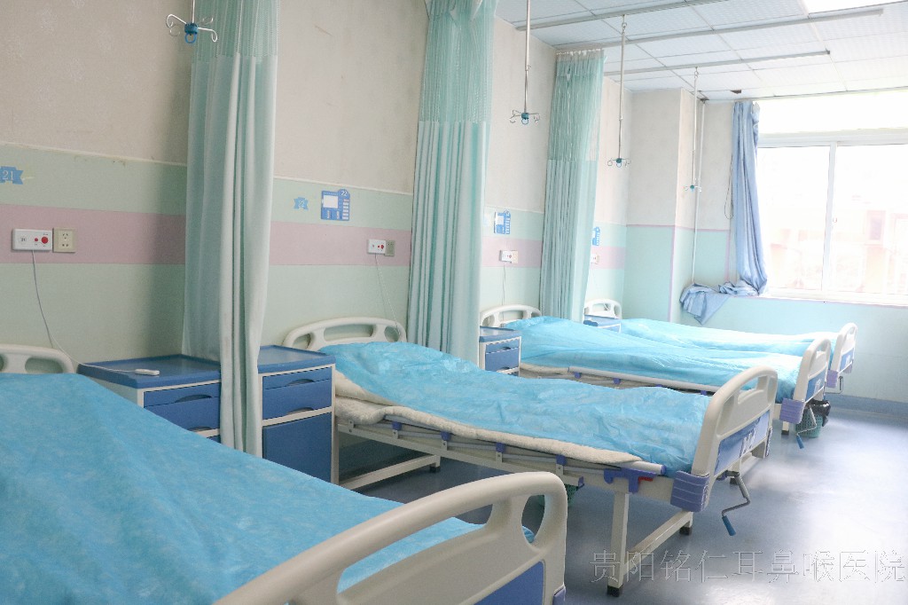 耳鼻咽喉科(圖1) 耳鼻咽喉科(圖1)