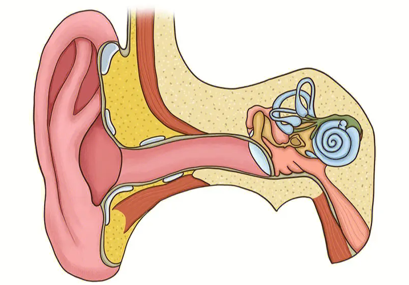 突發(fā)性耳聾不用怕，及時(shí)治療效果好！(圖3)
