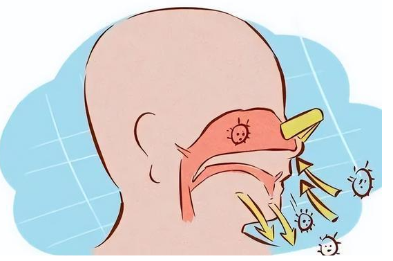 孩子鼻炎反復(fù)發(fā)作，3種方法對付鼻炎！(圖2)