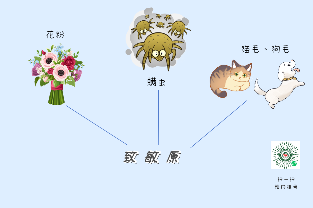 為什么一到春冬換季，過敏性鼻炎就會(huì)加重？(圖3)