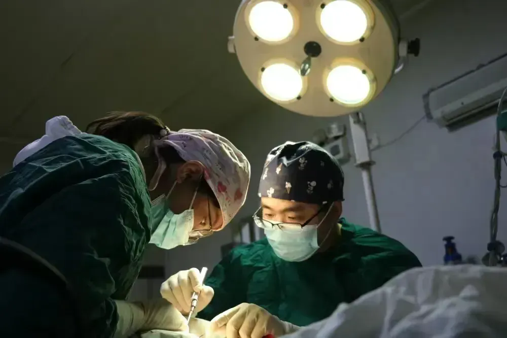 醫(yī)院簡介(圖7) 醫(yī)院簡介(圖7)